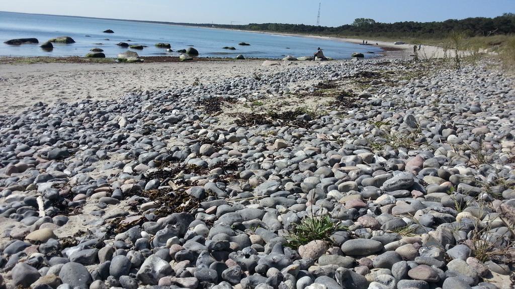 Ferienwohnungen Ruegen Findling Бреге Екстериор снимка