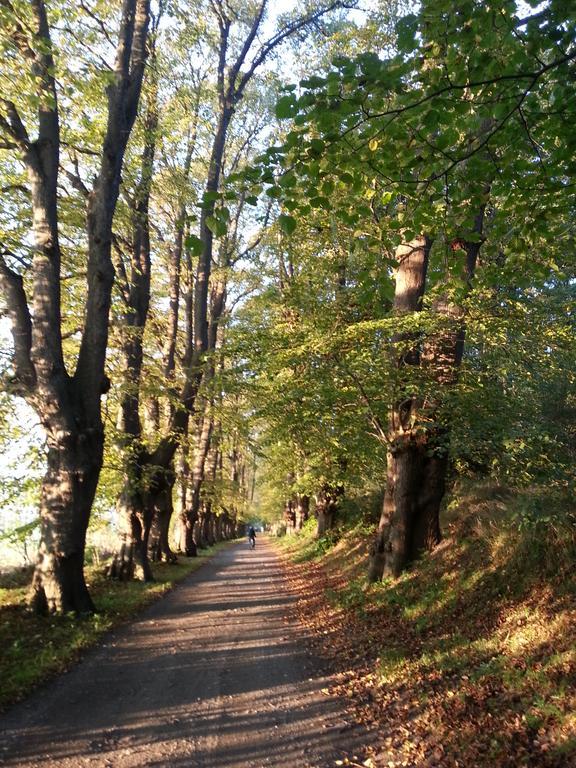 Ferienwohnungen Ruegen Findling Бреге Екстериор снимка